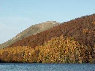 autumn Irati