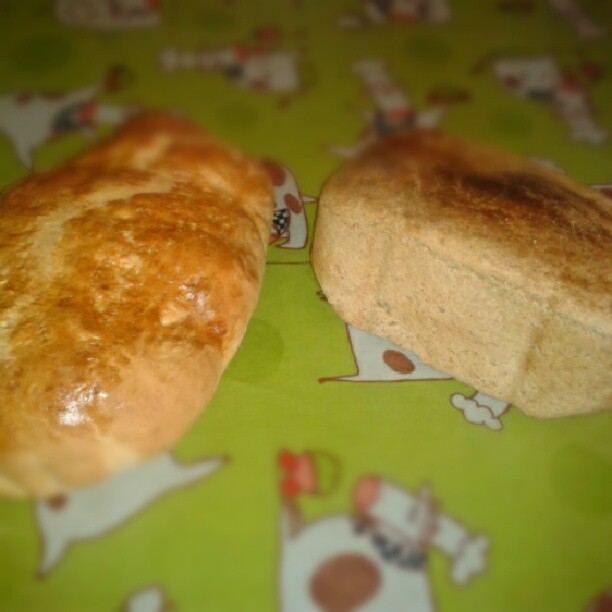 Panes recien hechos para el desayuno con ingredientes ecológicos.