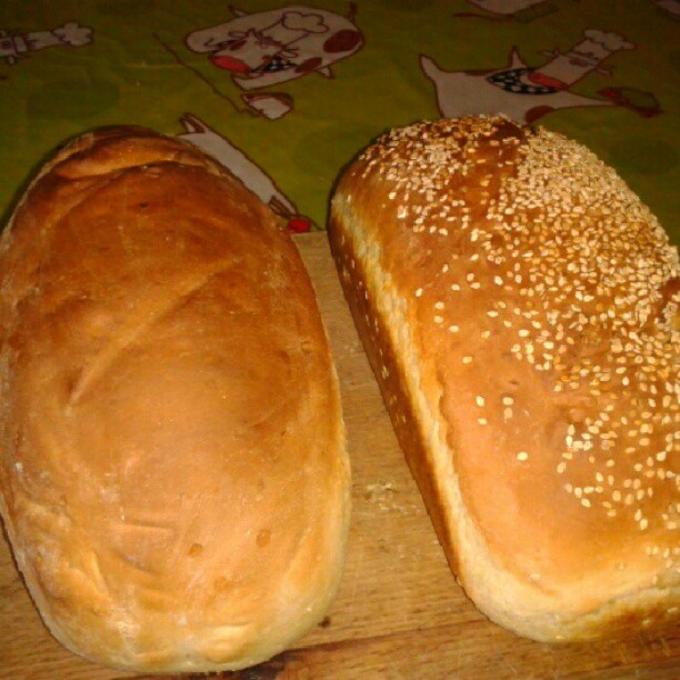Bonitos panes recién hechos para desayunar.