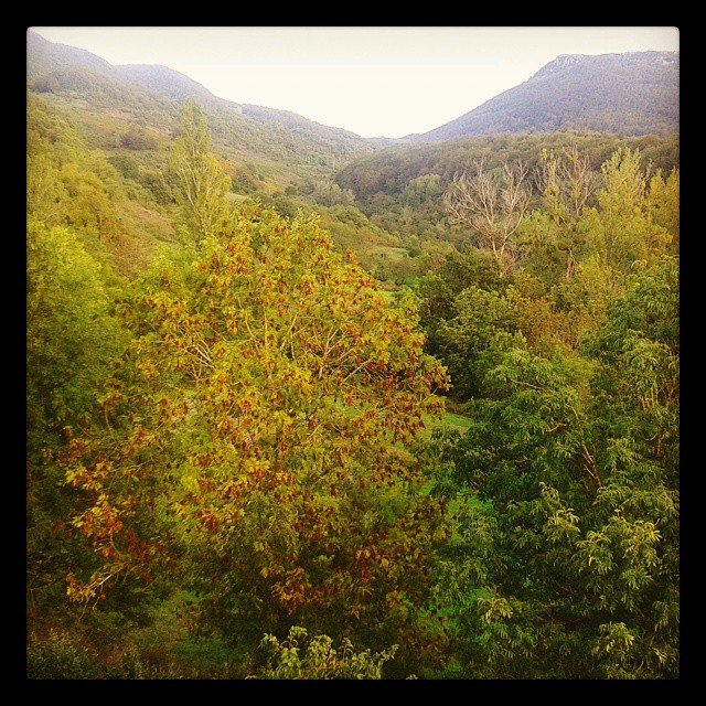 Los colores del #otoño empiezan a asomar tímidamente en el valle de Arce