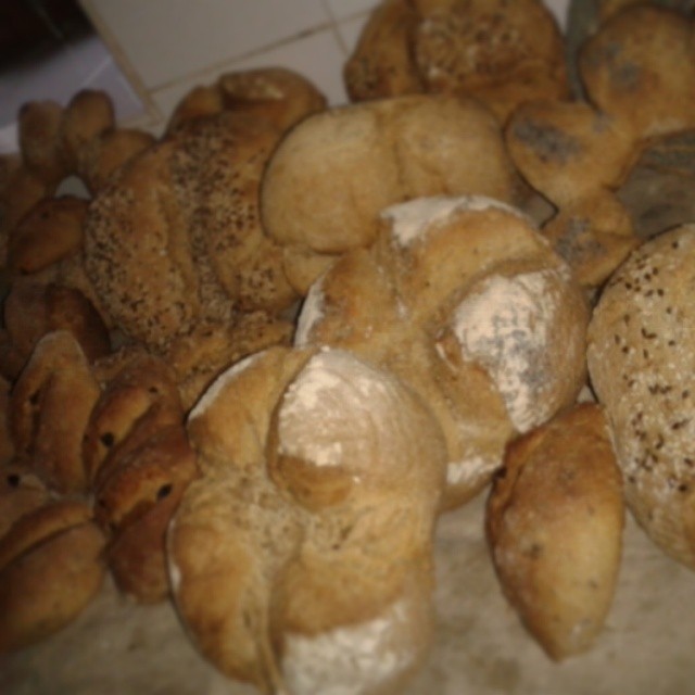 Panes recién hechos en el curso de pan de la ecoaldea de Lakabe