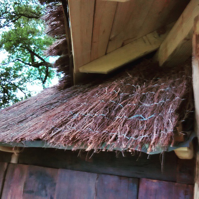 Y del brezo del tejado