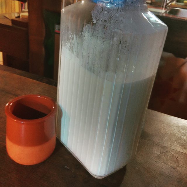 Yogurt de leche de las ovejas de nuestro vecino Mari