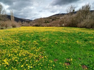 Primavera en Navarra