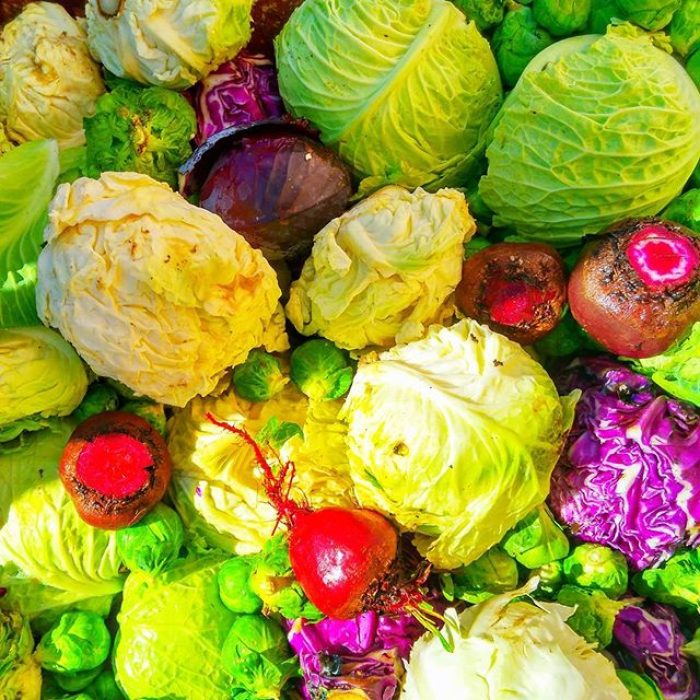 17265418_1881241705493727_4935060436925022208_n