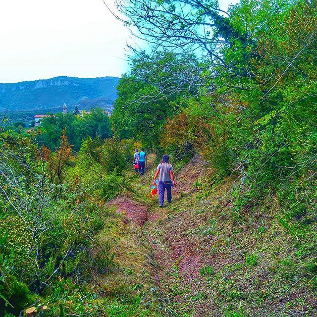 Recuperando antiguos caminos en #auzolan #valledearce #navarra