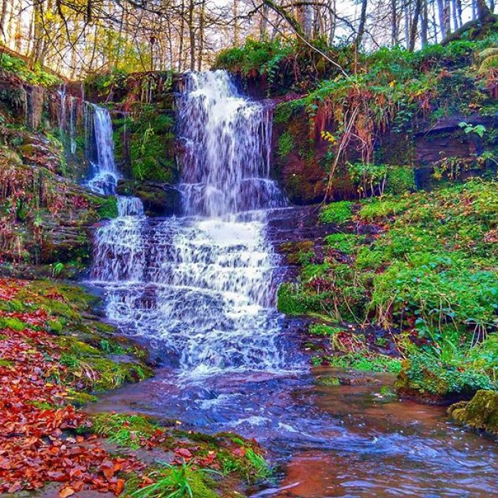 23735040_1948771978774973_3759648155684044800_n