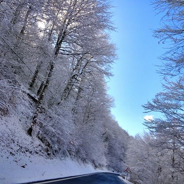 Precioso el día con nieve y sol. Esta carretera de Arce es una pasada!!!!