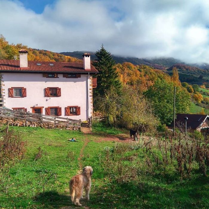 44502846_187946658820768_7565829310000152076_n