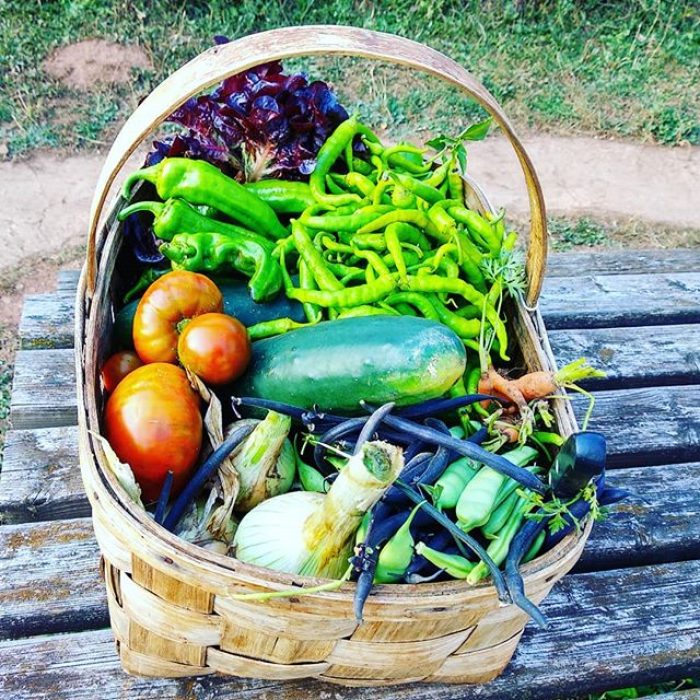 Casa rural con huerta ecológica