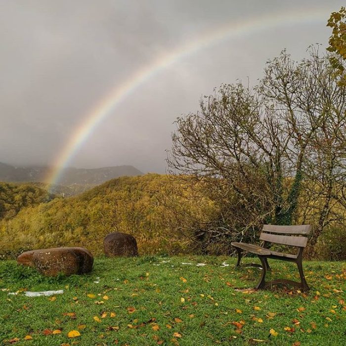 72731145_456442174982100_2673567433562756433_n