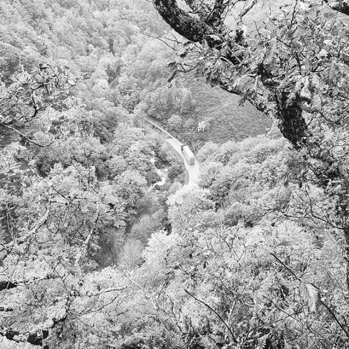 76863347_2483934321875180_8947241969934107458_n