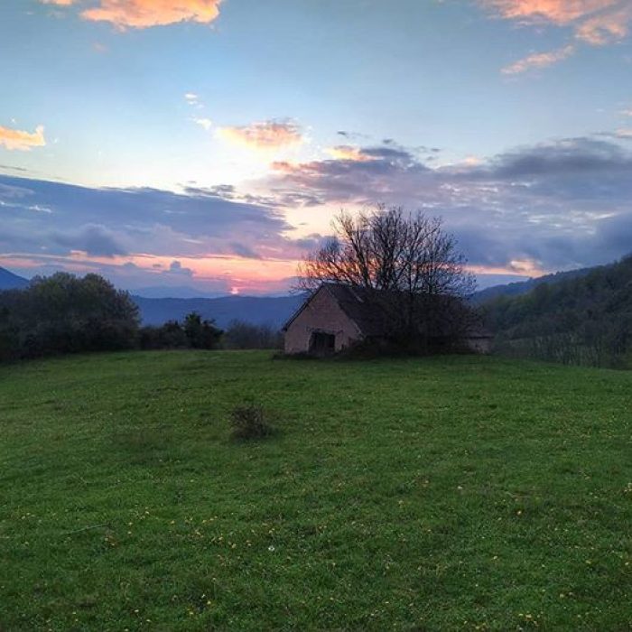 92924053_305325180432130_5591654047521291924_n