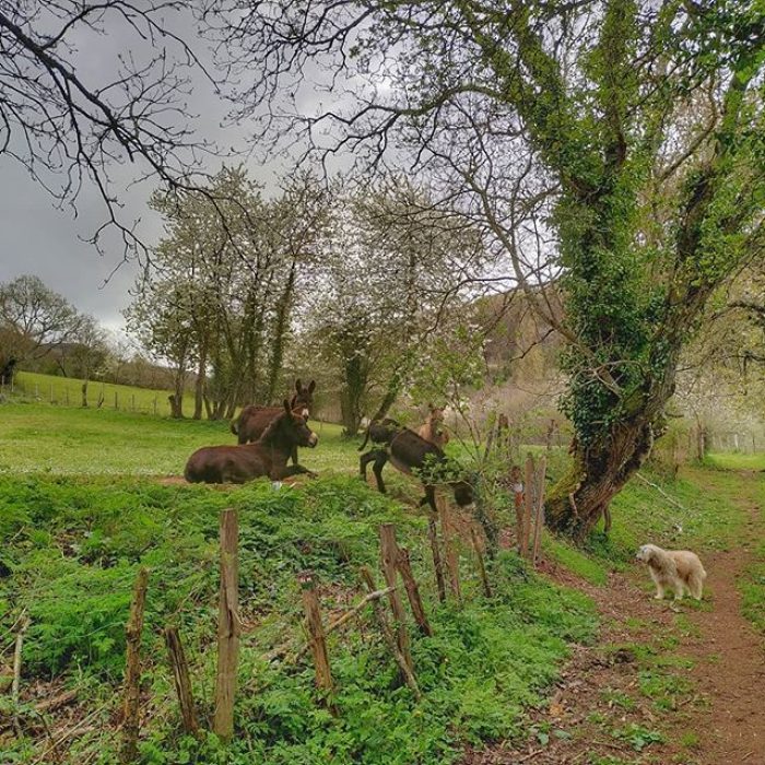 93350325_664472637662446_8876899583177624082_n