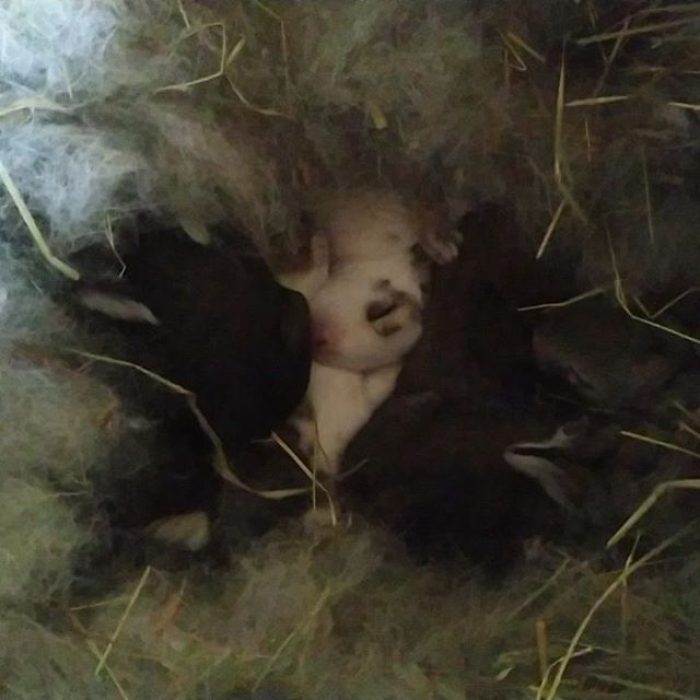 94576258_235562270984810_6588073194917457373_n