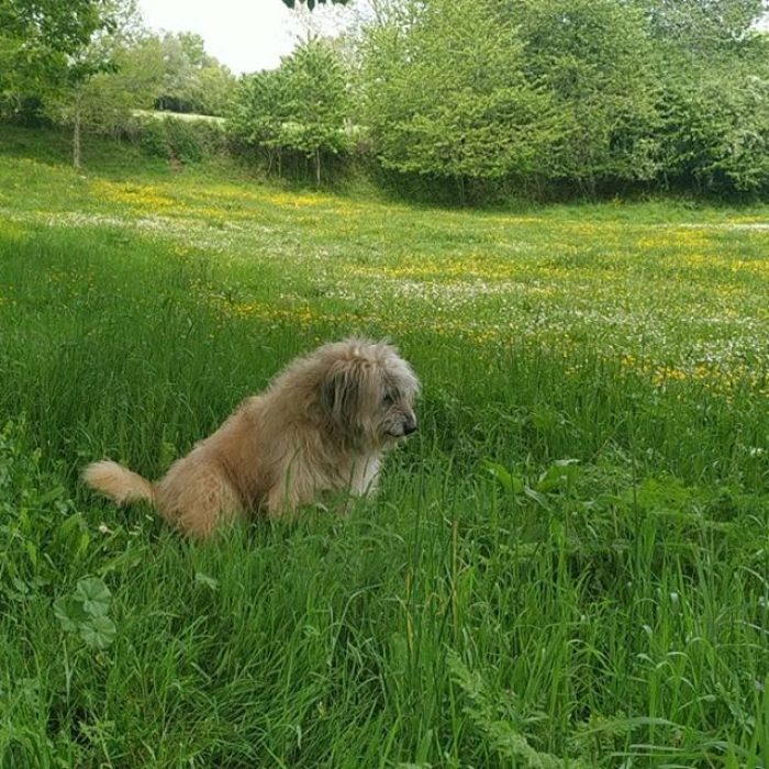 95626530_162122715215567_1811219990644905497_n