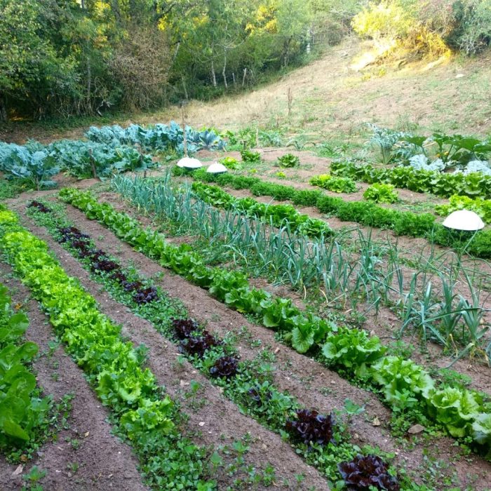 img_20200912_191706-scaled-1024x1024