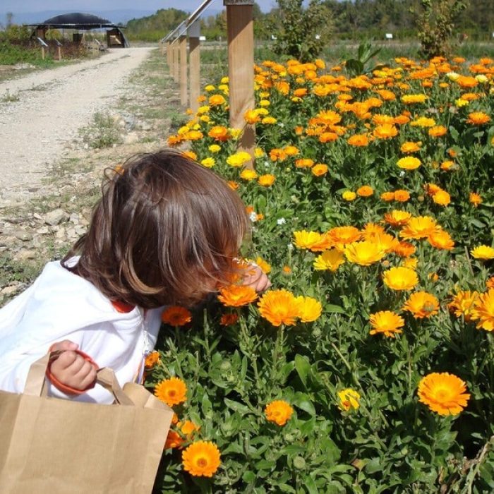 Agroturismo para familias en Navarra