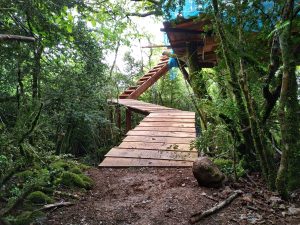 Cabañas en los árboles